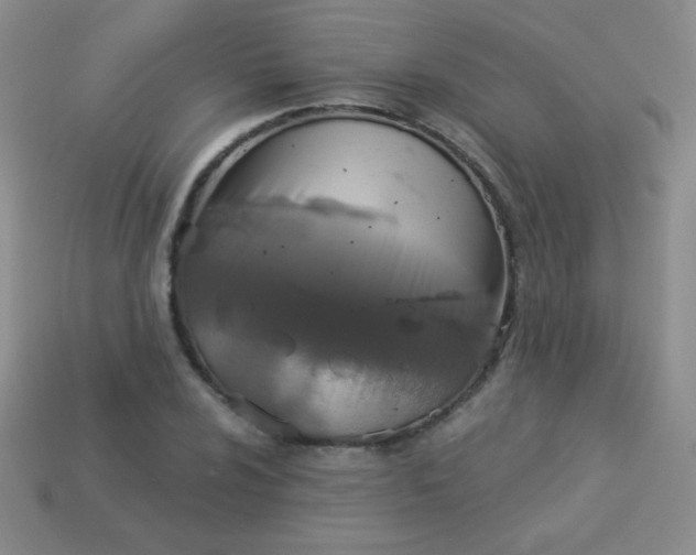 X0000113961024200910091625