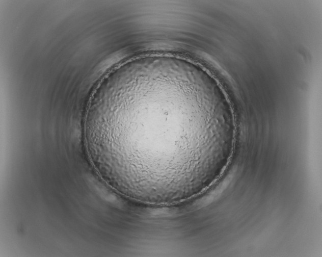 X0000113961025200910091625