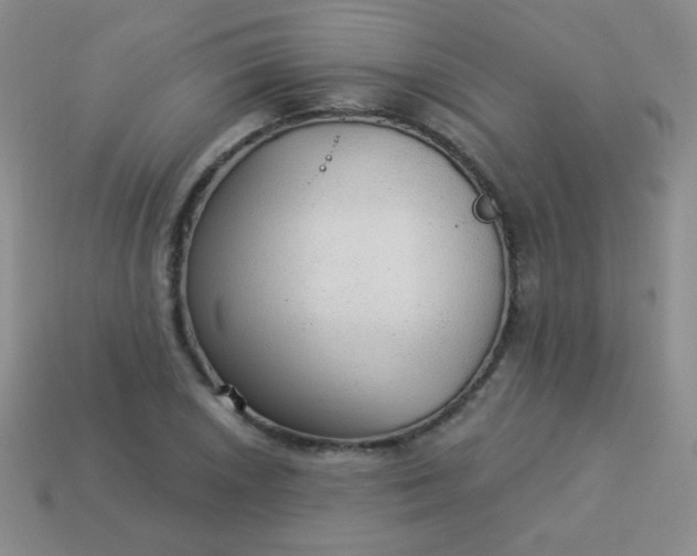 X0000113961026200910091625