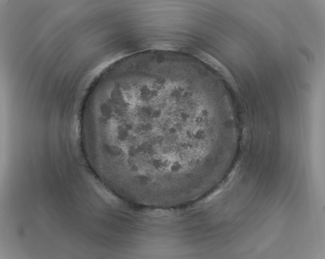 X0000113961027200910091625