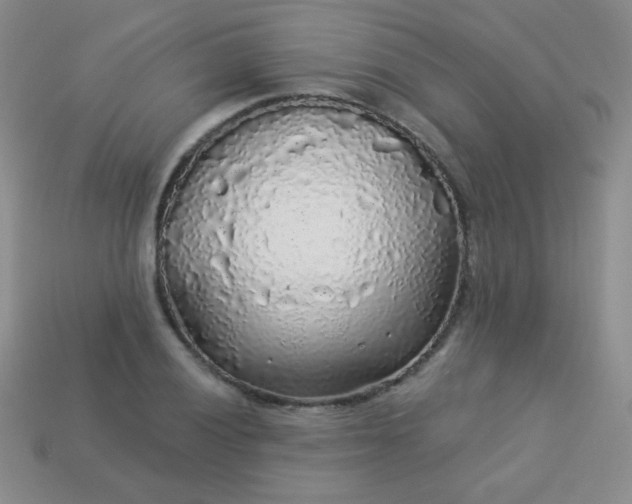 X0000113961028200910091625