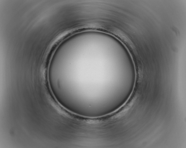 X0000113961029200910091625