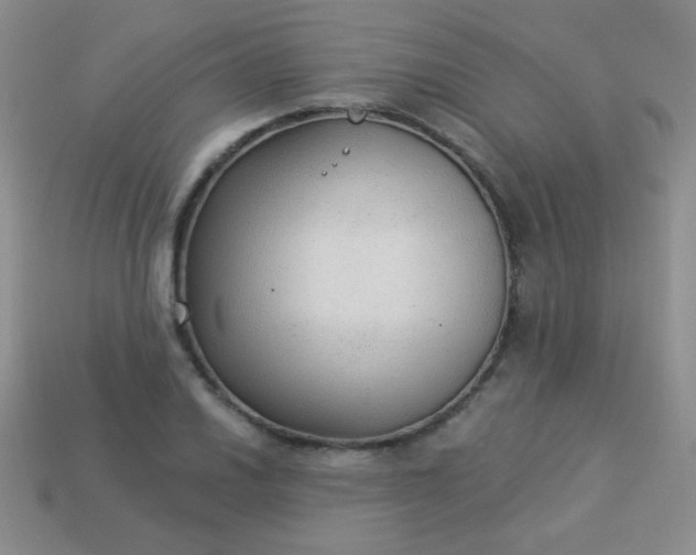 X0000113961030200910091625