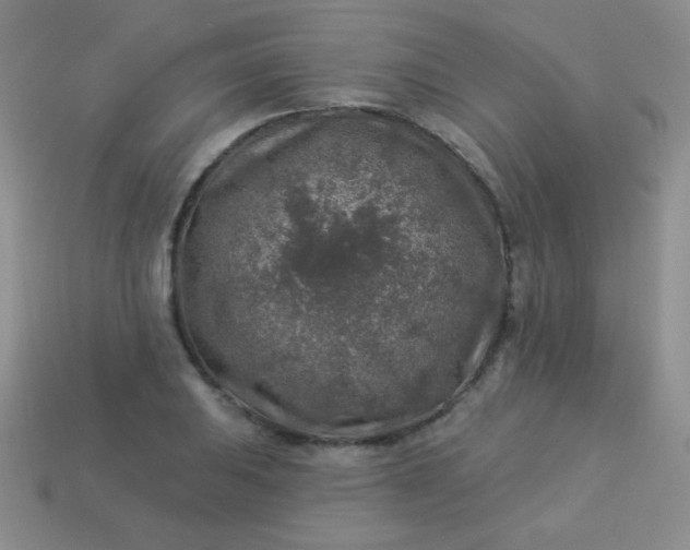 X0000113961031200910091625