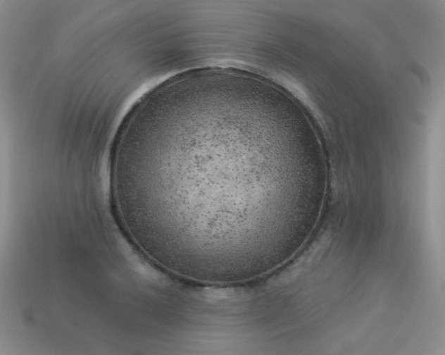 X0000113961032200910091625