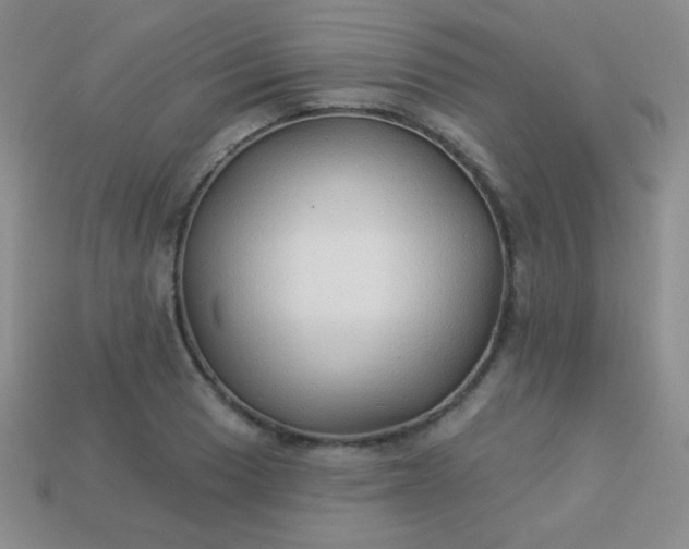 X0000113961033200910091625