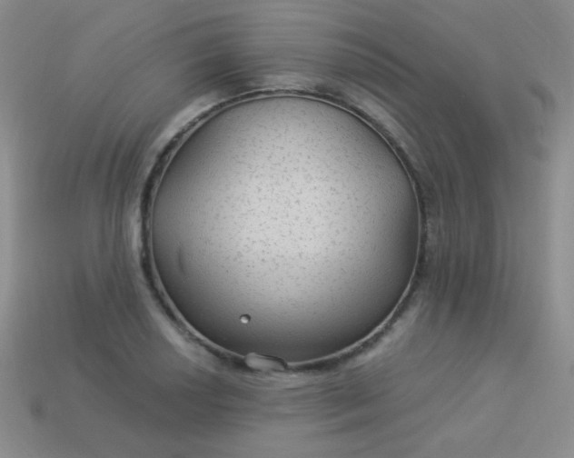 X0000113961034200910091625