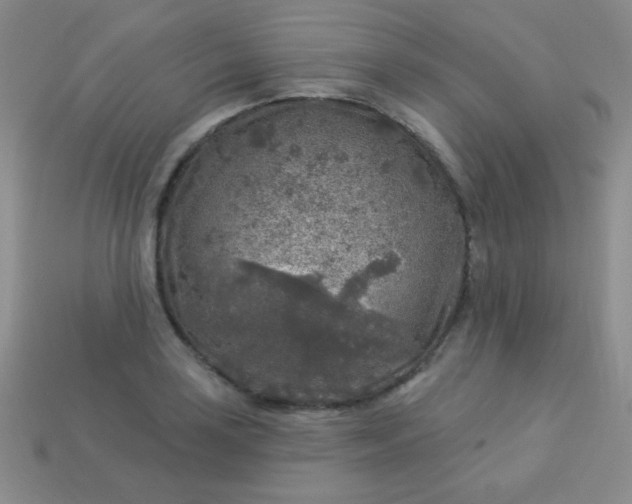 X0000113961035200910091625