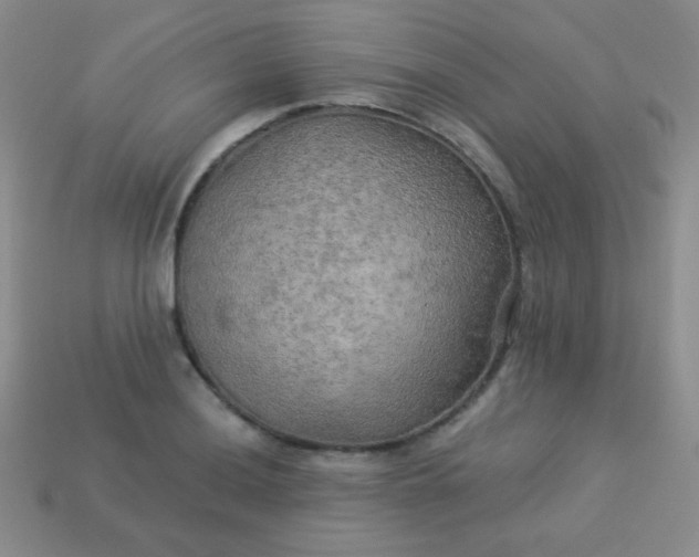 X0000113961036200910091625