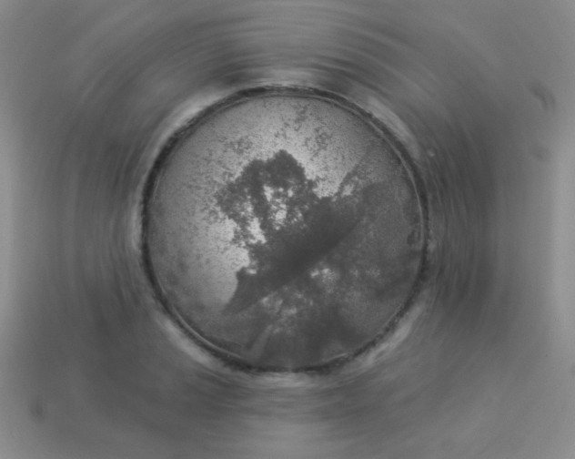 X0000113961037200910091625