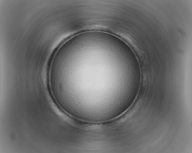 X0000113961038200910091625