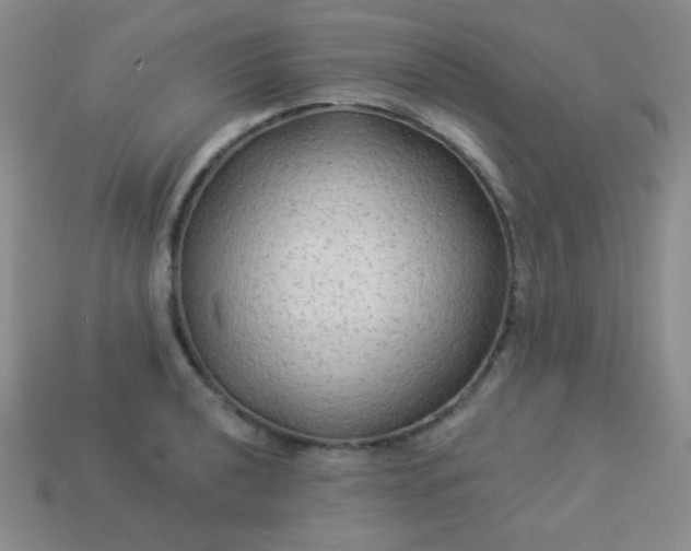 X0000113961040200910091625