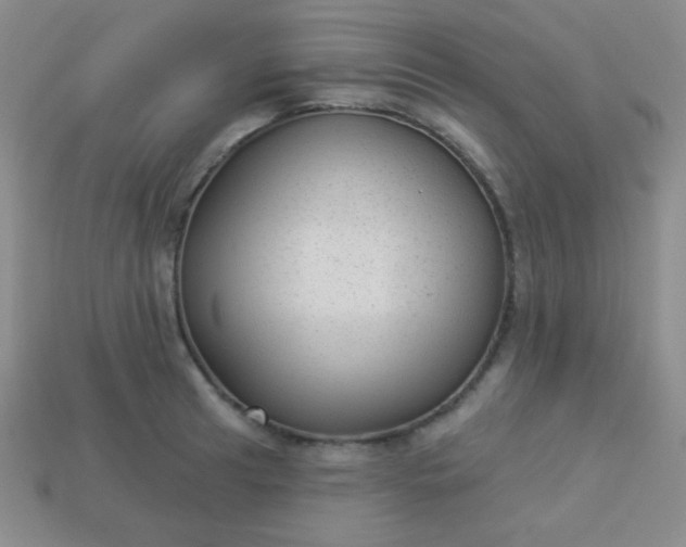 X0000113961041200910091625