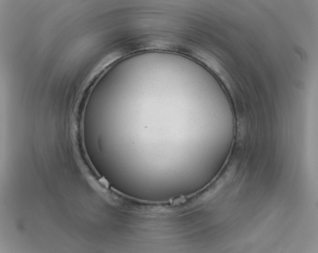 X0000113961042200910091625