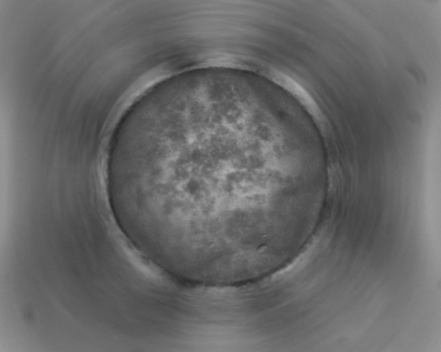 X0000113961043200910091625