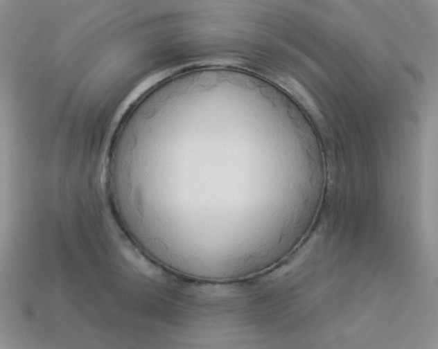 X0000113961044200910091625