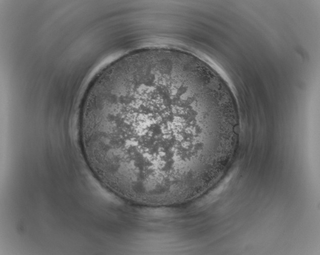 X0000113961045200910091625