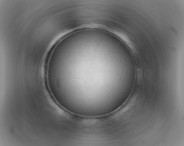 X0000113961046200910091625