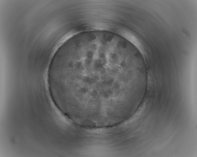 X0000113961047200910091625