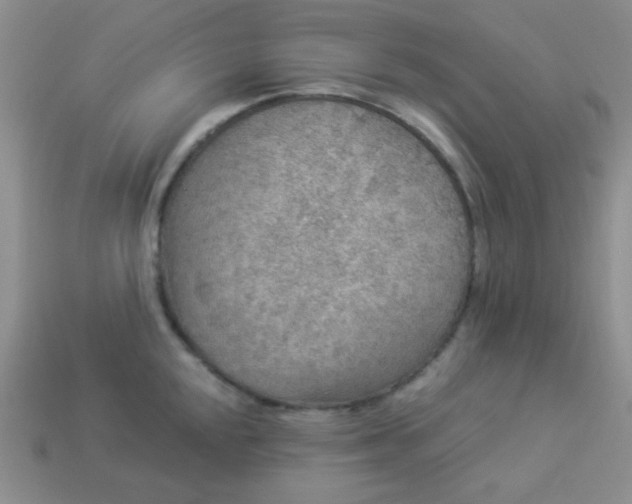 X0000113961048200910091625