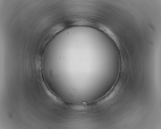 X0000113961049200910091625