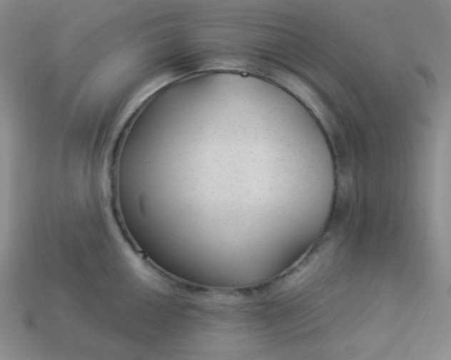 X0000113961050200910091625