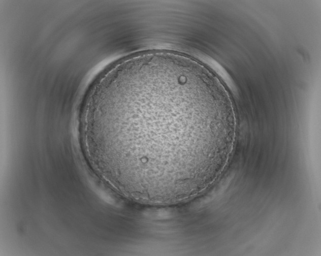 X0000113961051200910091625