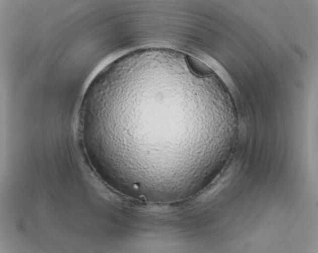 X0000113961052200910091625