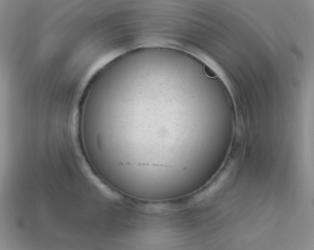 X0000113961053200910091625