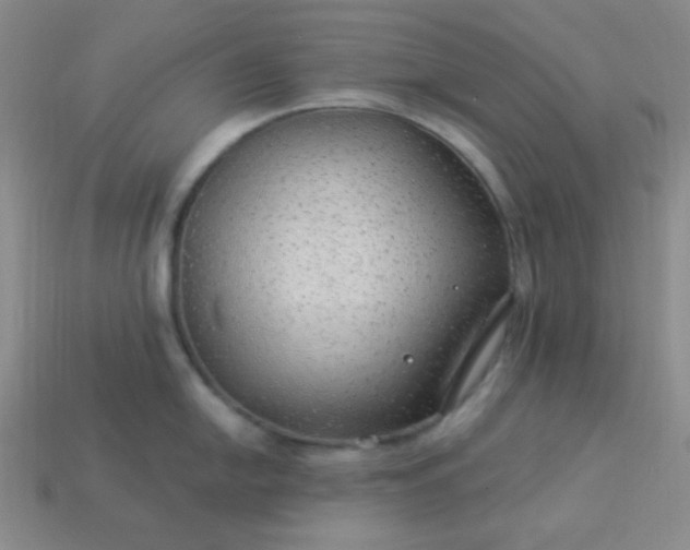 X0000113961054200910091625