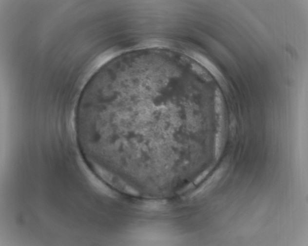 X0000113961055200910091625