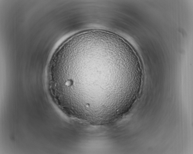 X0000113961056200910091625