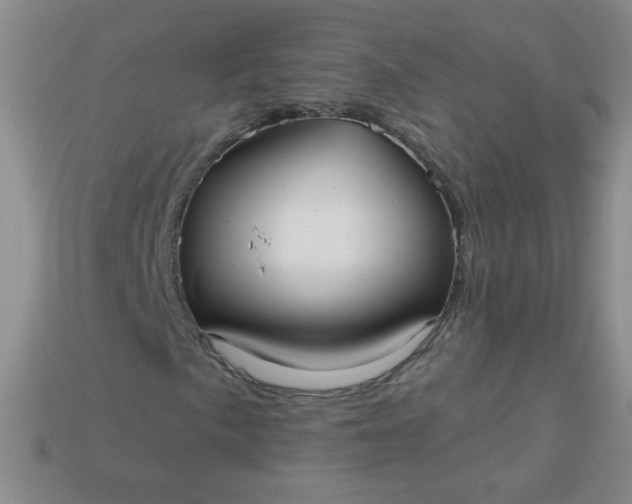 X0000113961057200910091624