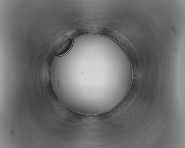 X0000113961058200910091624