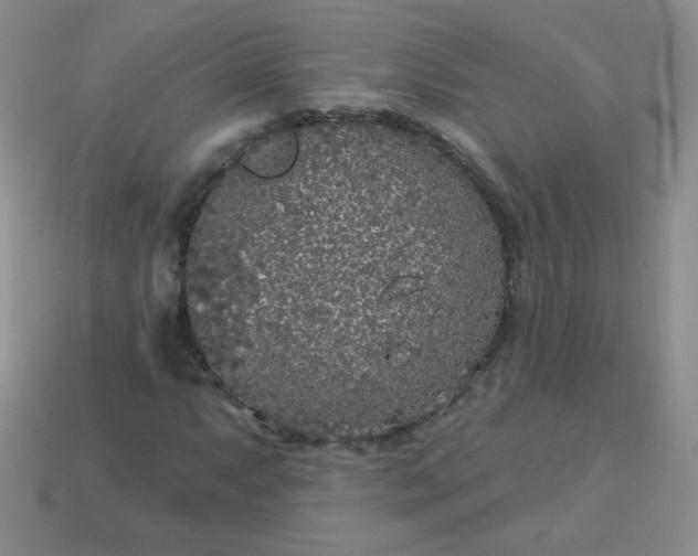 X0000113961063200910091624