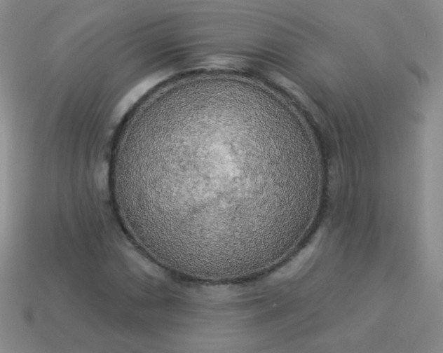 X0000113961066200910091624