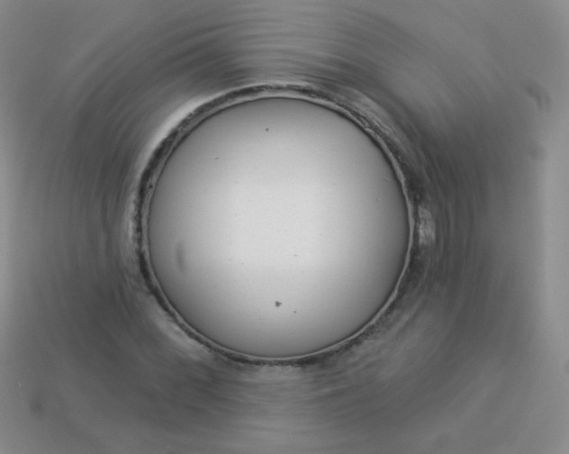 X0000113961068200910091624