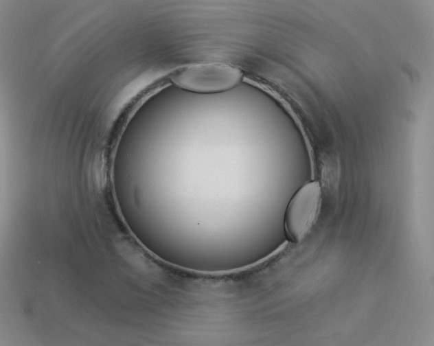 X0000113961069200910091624