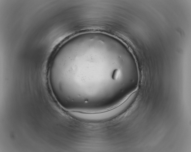 X0000113961071200910091624