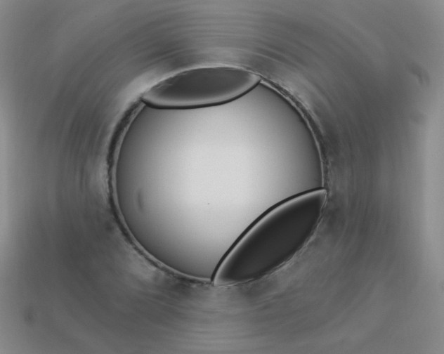 X0000113961072200910091624