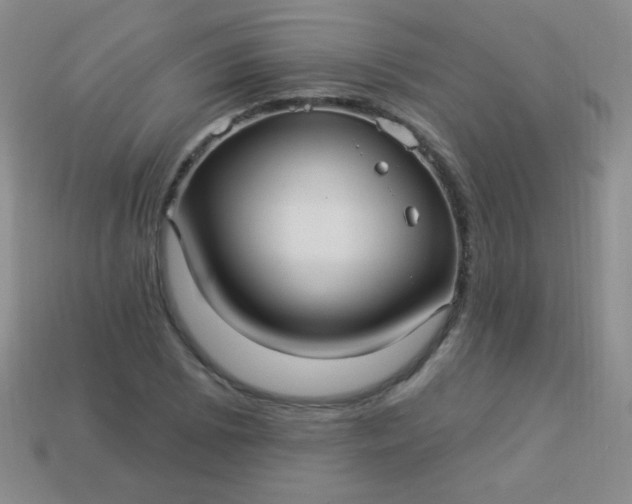 X0000113961073200910091624