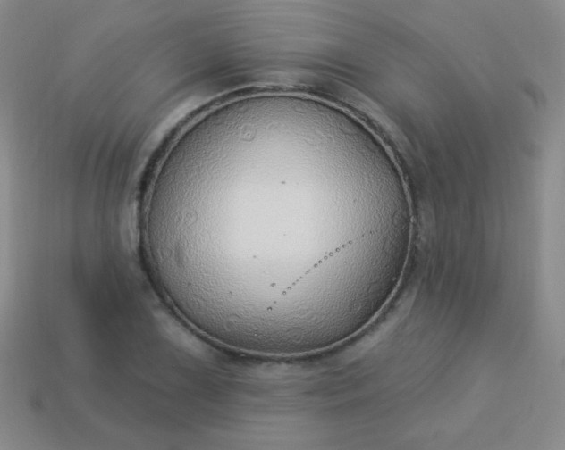 X0000113961075200910091624