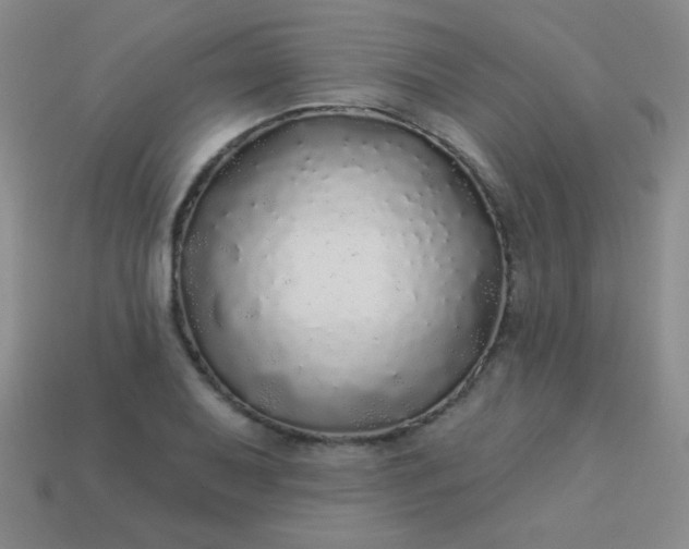 X0000113961079200910091624