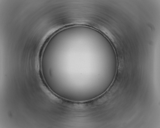 X0000113961080200910091624