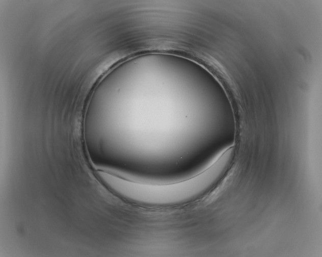 X0000113961081200910091624