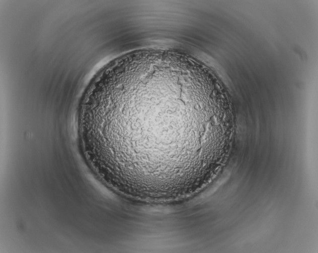 X0000113961083200910091624