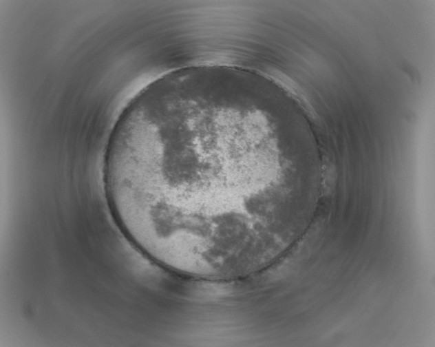 X0000113961086200910091624