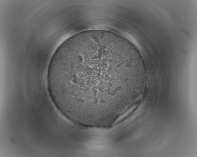 X0000113961087200910091624