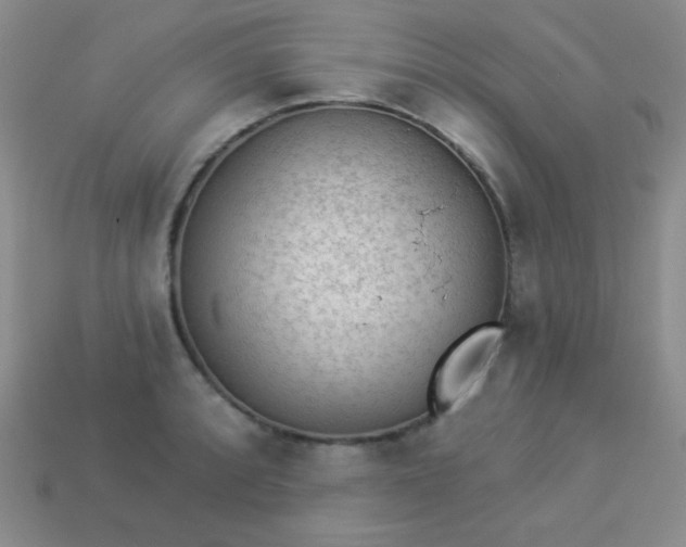 X0000113961088200910091624