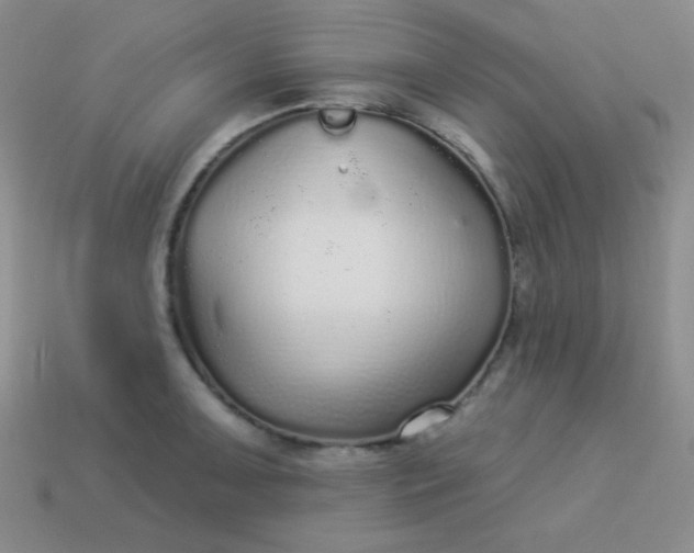 X0000113961091200910091624